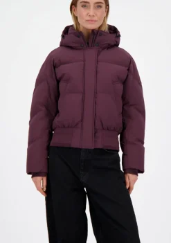 Jassen><noscript><img width=