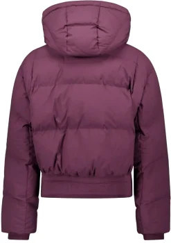 Jassen><noscript><img width=