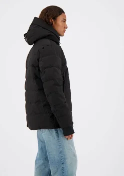 Jassen><noscript><img width=