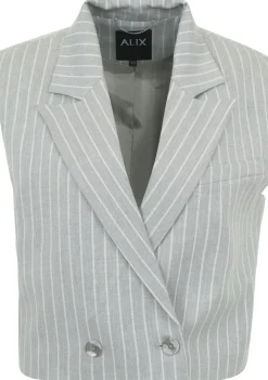 Gilets|Blazers & Jasjes>ALIX THE LABEL GILET Grijs