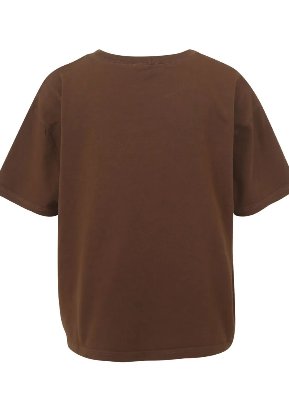 Shirts>AMERICAN VINTAGE SHIRT Bruin