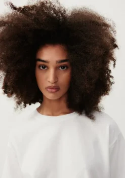 Shirts><noscript><img width=