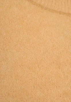 Truien><noscript><img width=