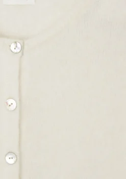 Vesten><noscript><img width=