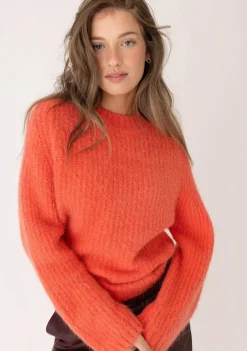 Truien><noscript><img width=