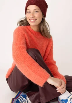 Truien><noscript><img width=