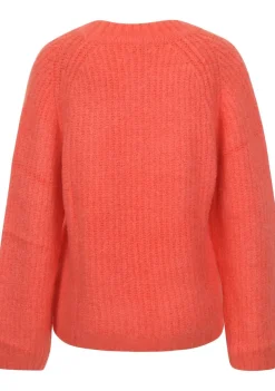 Truien><noscript><img width=