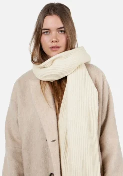 Accessoires><noscript><img width=