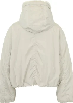 Jassen><noscript><img width=