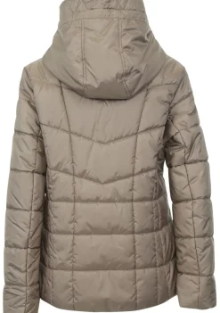 Jassen><noscript><img width=