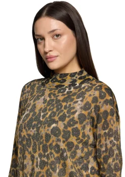 Truien><noscript><img width=