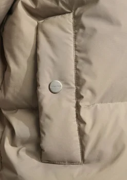 Jassen><noscript><img width=