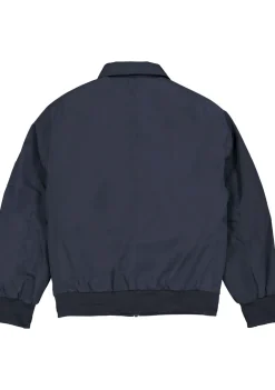 Jassen><noscript><img width=