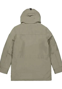 Jassen><noscript><img width=