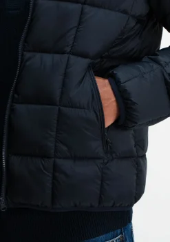 Jassen><noscript><img width=