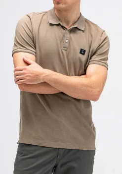 Polo's><noscript><img width=