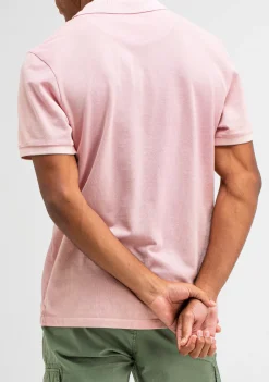 Polo's><noscript><img width=