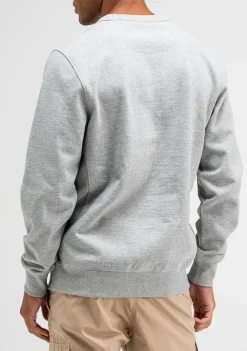 Truien><noscript><img width=