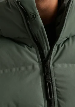 Jassen><noscript><img width=