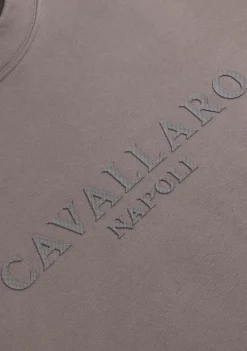 Truien><noscript><img width=