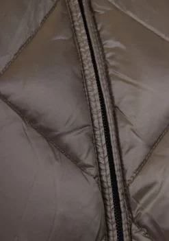 Jassen><noscript><img width=