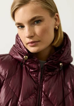 Jassen><noscript><img width=