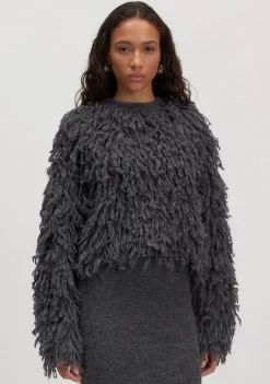 Truien><noscript><img width=