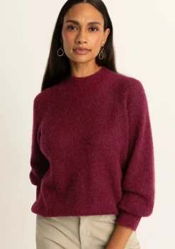 Truien><noscript><img width=