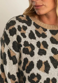 Truien><noscript><img width=