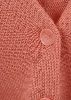 Vesten><noscript><img width=