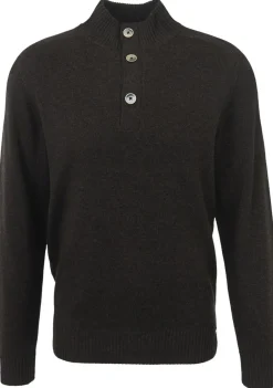 Truien>GENTILUOMO TRUI Bruin