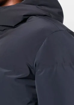 Jassen><noscript><img width=