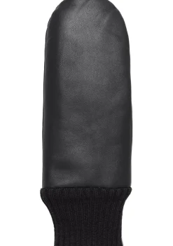 Accessoires><noscript><img width=