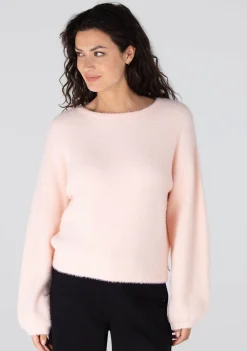 Truien><noscript><img width=