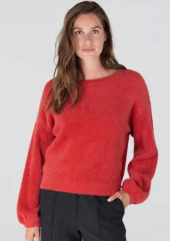 Truien><noscript><img width=