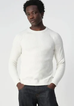 Truien><noscript><img width=