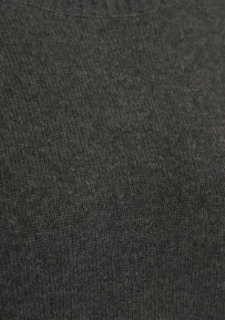 Truien><noscript><img width=