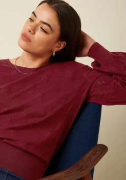 Truien><noscript><img width=