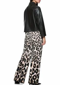 Blazers & Jasjes><noscript><img width=