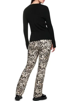 Truien><noscript><img width=