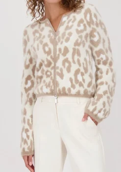 Vesten><noscript><img width=