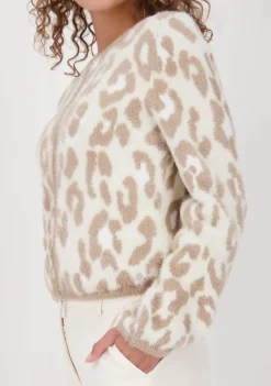 Vesten><noscript><img width=