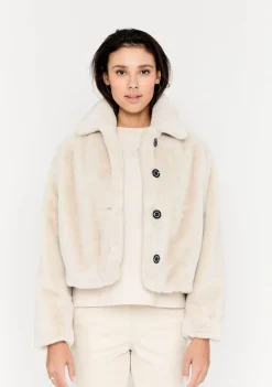 Jassen><noscript><img width=