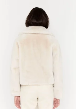 Jassen><noscript><img width=