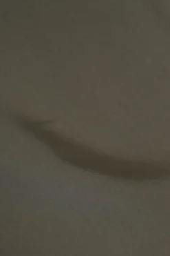 Rokken><noscript><img width=