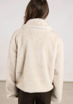 Jassen><noscript><img width=