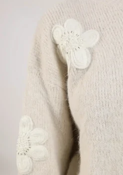 Truien><noscript><img width=