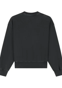 Truien><noscript><img width=