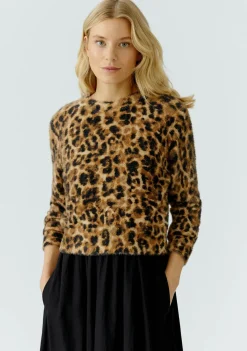 Truien><noscript><img width=