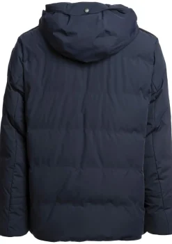 Jassen><noscript><img width=